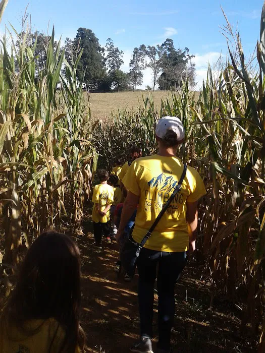 Meadows Park Lane Picture 3