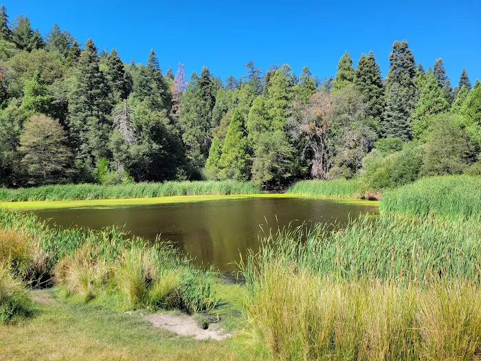 Doane Valley Campground Picture 3