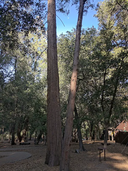 Cedar Grove Group Campground Picture 9