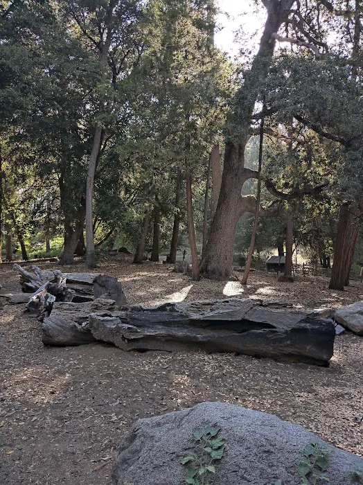 Cedar Grove Group Campground Picture 4