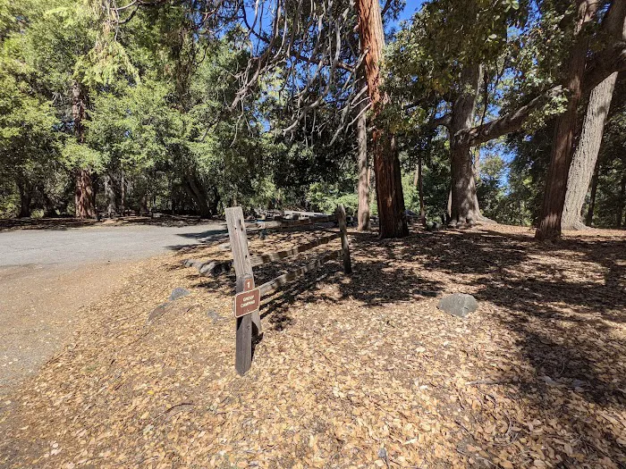 Cedar Grove Group Campground Picture 6