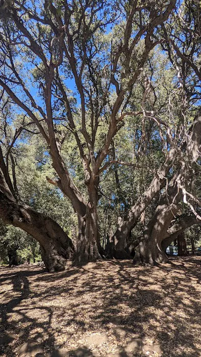 Cedar Grove Group Campground Picture 3