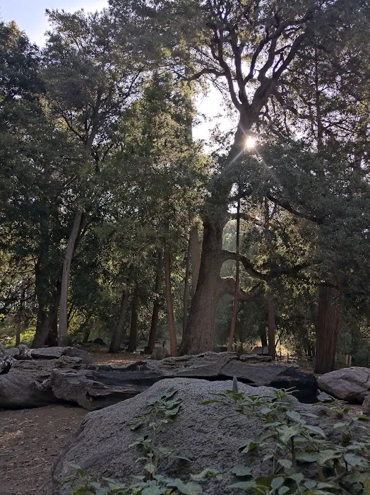 Cedar Grove Group Campground Picture 8