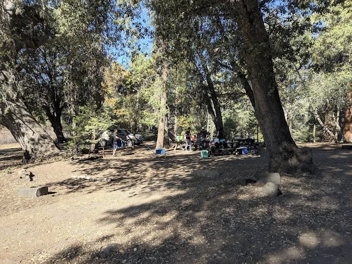 Cedar Grove Group Campground Picture 7