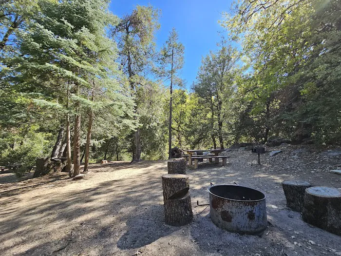 Fry Creek Campground Picture 6