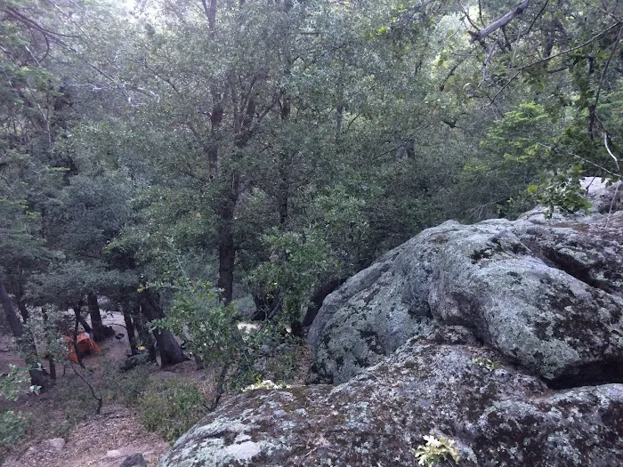 Fry Creek Campground Picture 2