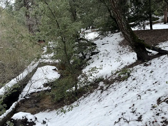 Fry Creek Campground Picture 4