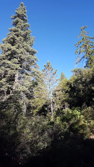 Fry Creek Campground Picture 1