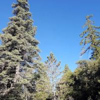 Fry Creek Campground ico