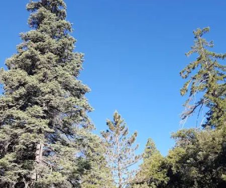 Fry Creek Campground