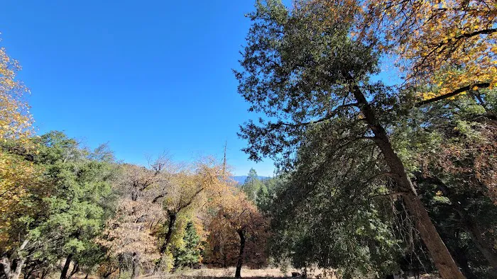 Fry Creek Campground Picture 3