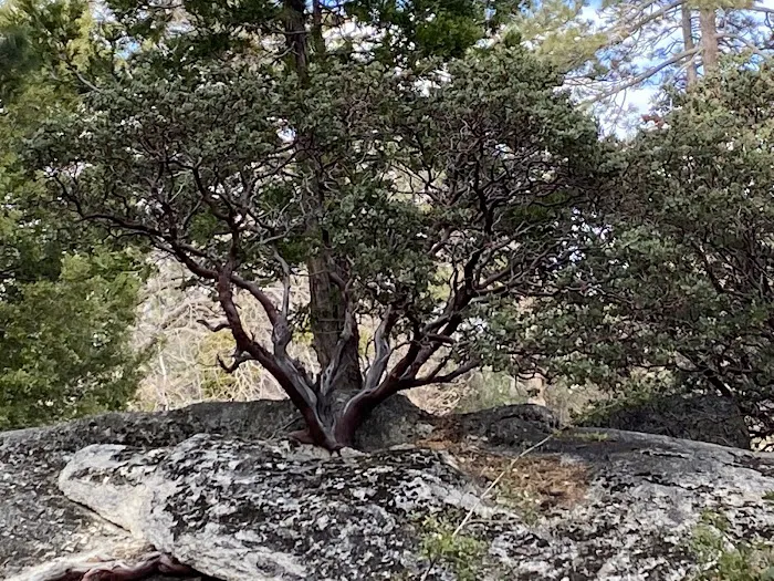 South Ridge Yellow Post Sites Picture 5