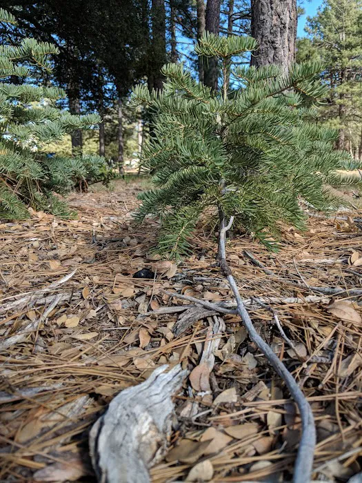 South Ridge Yellow Post Sites Picture 4