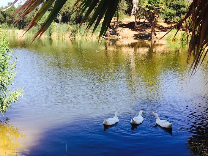 Lilac Oaks Campground Picture 6