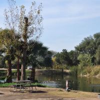 Lilac Oaks Campground ico