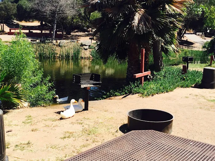 Lilac Oaks Campground Picture 2