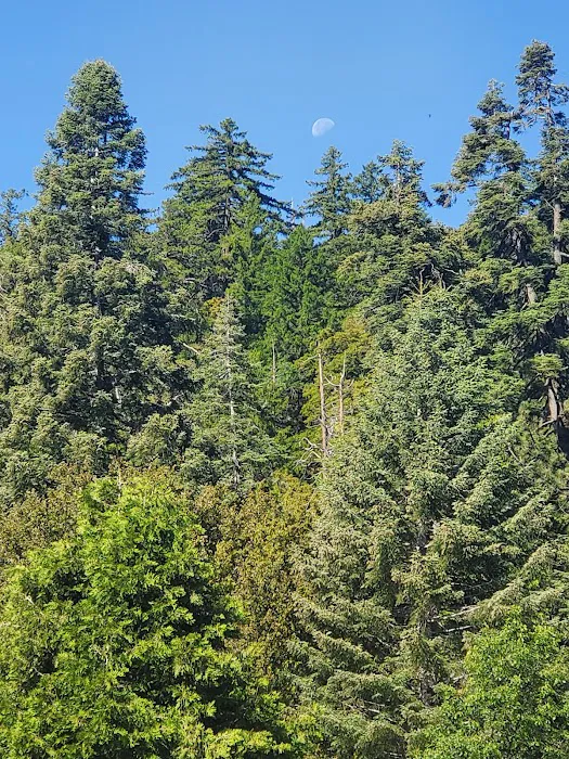 Observatory Campground Picture 4