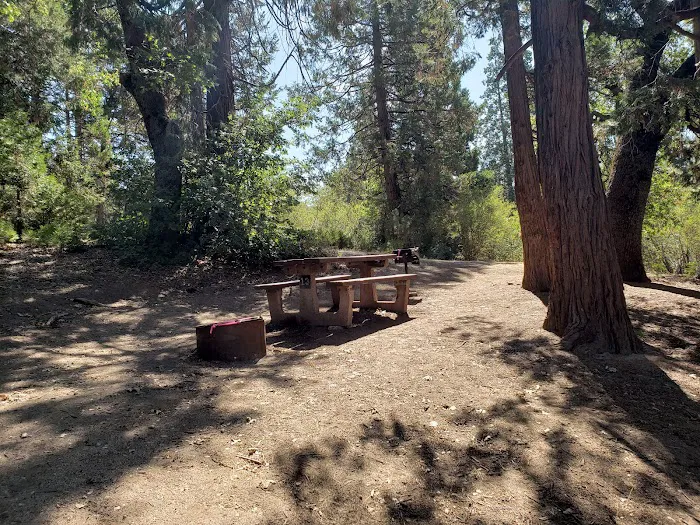 Observatory Campground Picture 8