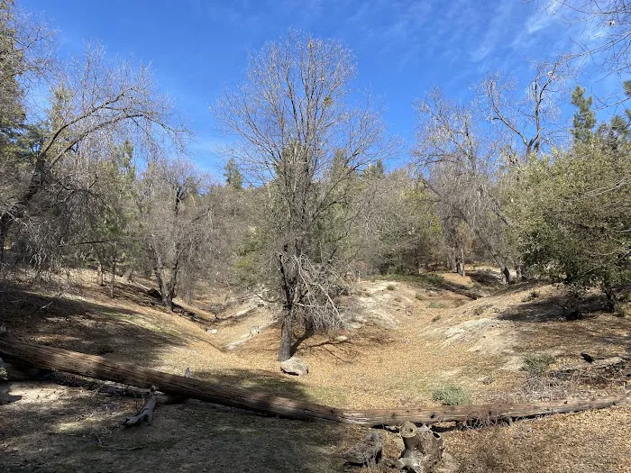 Observatory Campground Picture 10