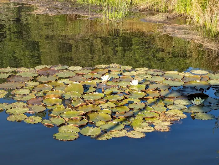 Applewood Cabin Picture 2