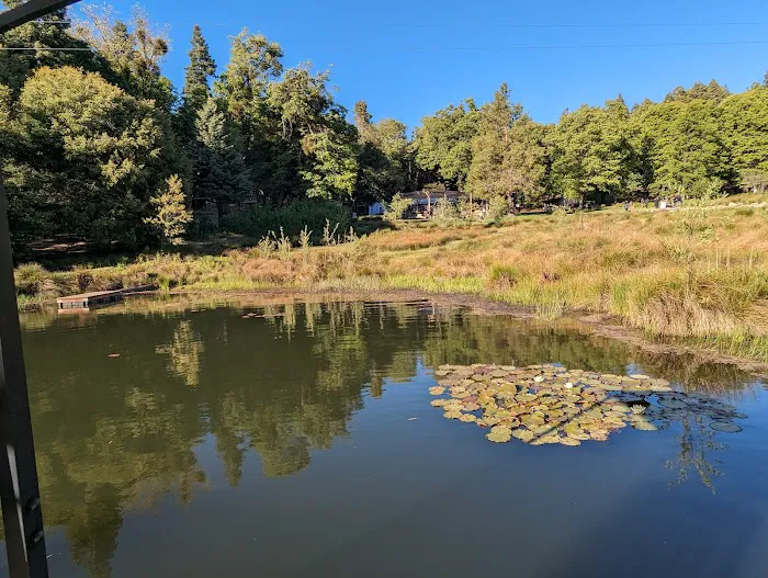 Applewood Cabin Picture 1