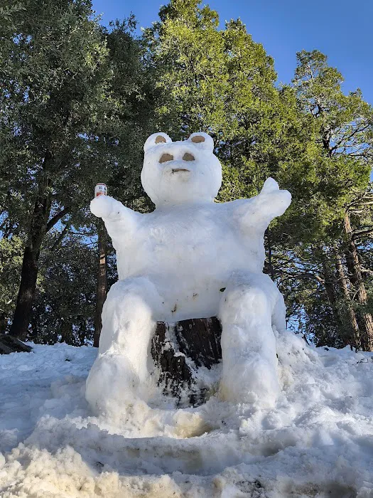 Crestline Group Campground Picture 7