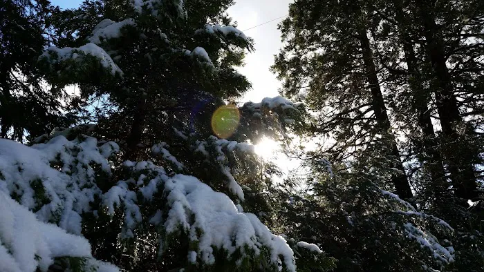 Crestline Group Campground Picture 1