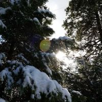 Crestline Group Campground ico