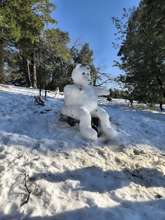 Crestline Group Campground Picture 4