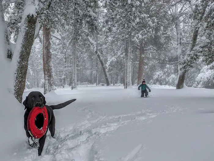 Crestline Group Campground Picture 9