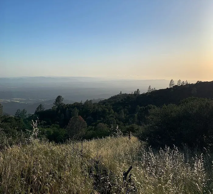 Figueroa Campground Picture 7