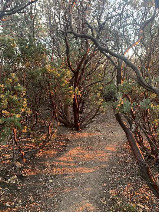 Figueroa Campground Picture 10