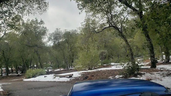 Figueroa Campground Picture 3