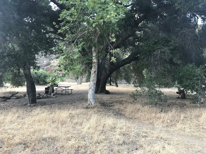 Coldwater Camp Picture 8