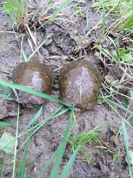 Coldwater Camp Picture 10