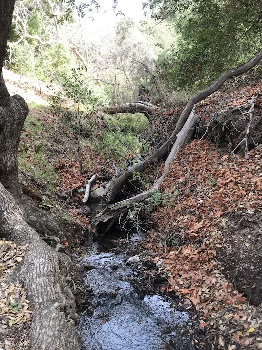 Upper Ballard Campground Picture 4