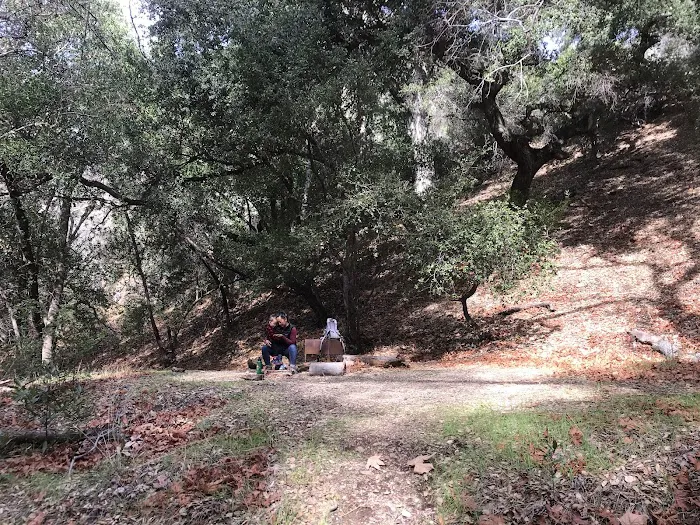 Upper Ballard Campground Picture 2