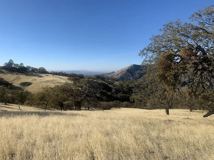 Upper Ballard Campground Picture 3