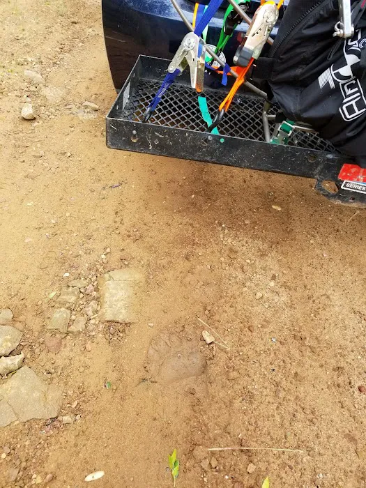 Docs Spring Campground Picture 2