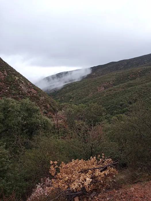 Docs Spring Campground Picture 1