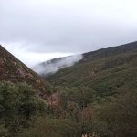 Docs Spring Campground