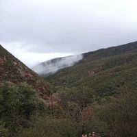 Docs Spring Campground ico