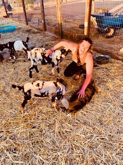 Cuyama Oaks Ranch Picture 8