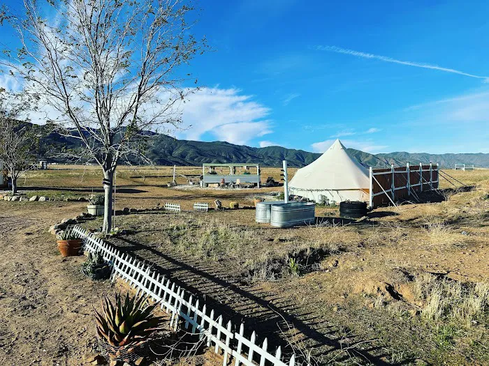 Cuyama Oaks Ranch Picture 4