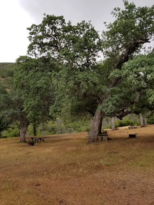 Bates Canyon Campground Picture 5