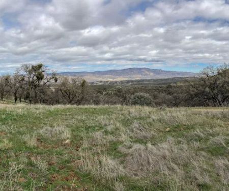 Bates Canyon Campground