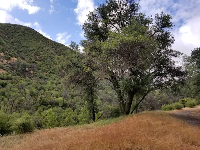 Bates Canyon Campground Picture 2