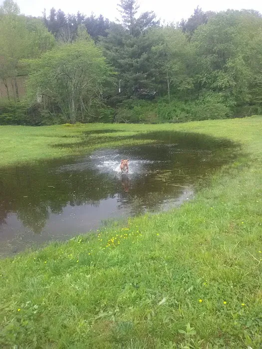 Happy Newland Park Picture 2