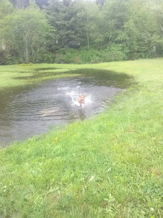 Happy Newland Park Picture 4