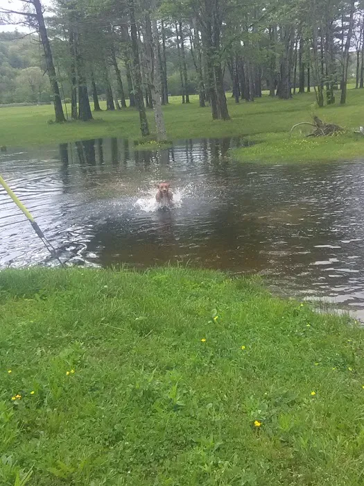 Happy Newland Park Picture 3